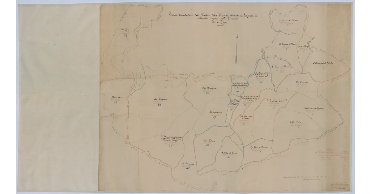 Pianta dimostrativa delle pasture della Pizzorna attenenti ai Sezionisti di Benabbio comprese nella comunità del Bagno