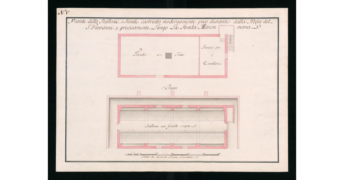 Pianta dello stallone e fienile costrutto modernamente poco distante dalla Moja del S. Giovanni e precisamente lungo la Strada Maremmana