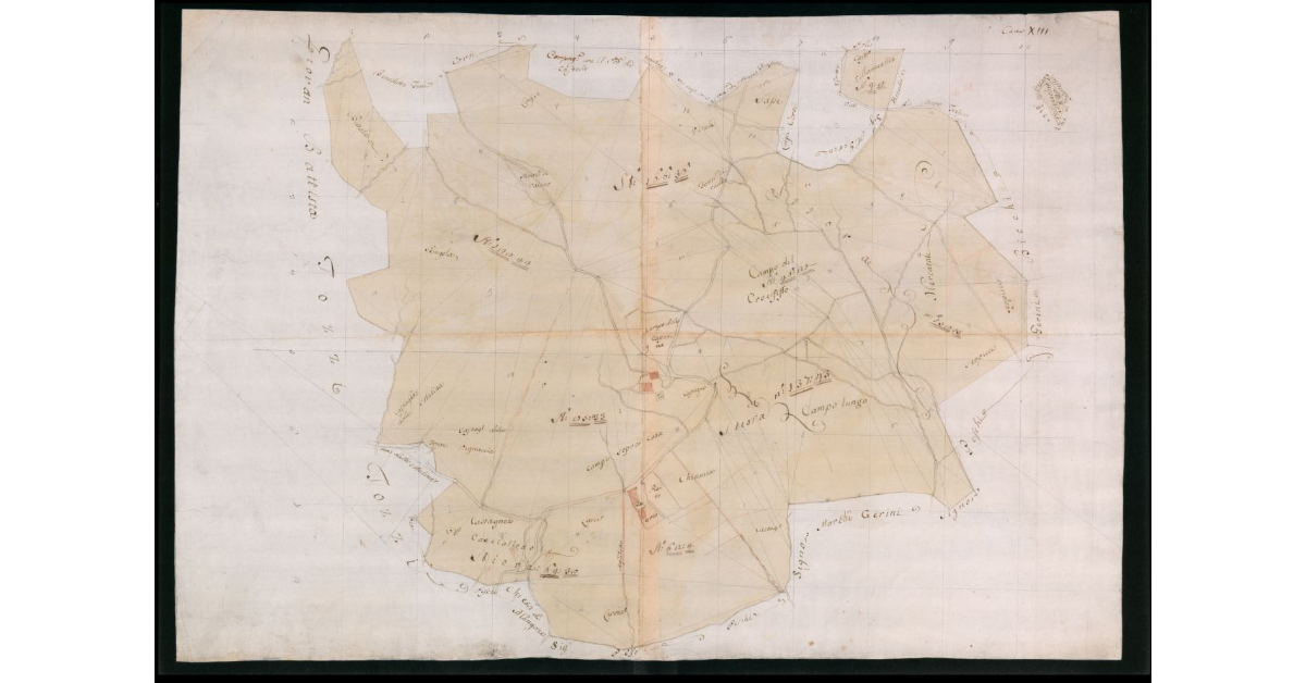 [Mappa pseudo-catastali di poderi e "spezzature" di terre poste nel territorio di Mangona e nelle aree circostanti del Mugello occidentale]