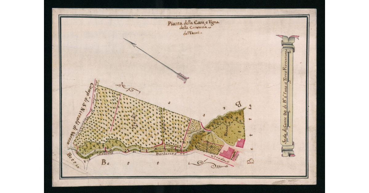 Pianta della Casa e Vigna della Consuma del Vanni