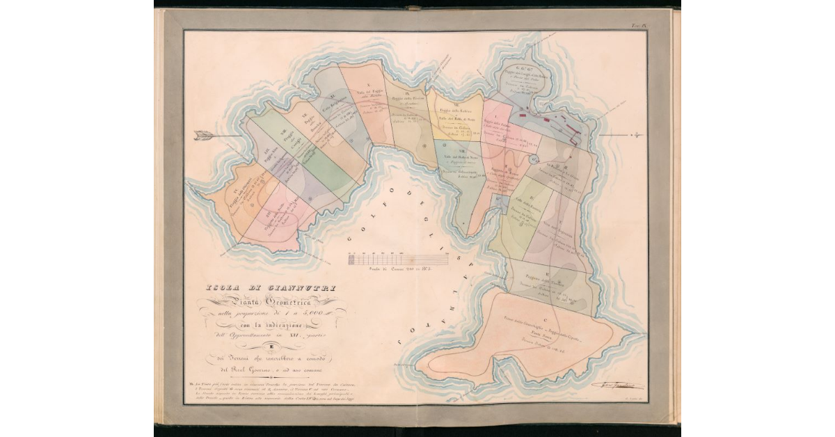 Tav.IX - Isola di Giannutri. Pianta geometrica nella proporzione di 1 a 5000 con la indicazione dell'appresellarnento in XVI parti e dei terreni che resterebbero a comodo del Real Governo, o ad uso comune