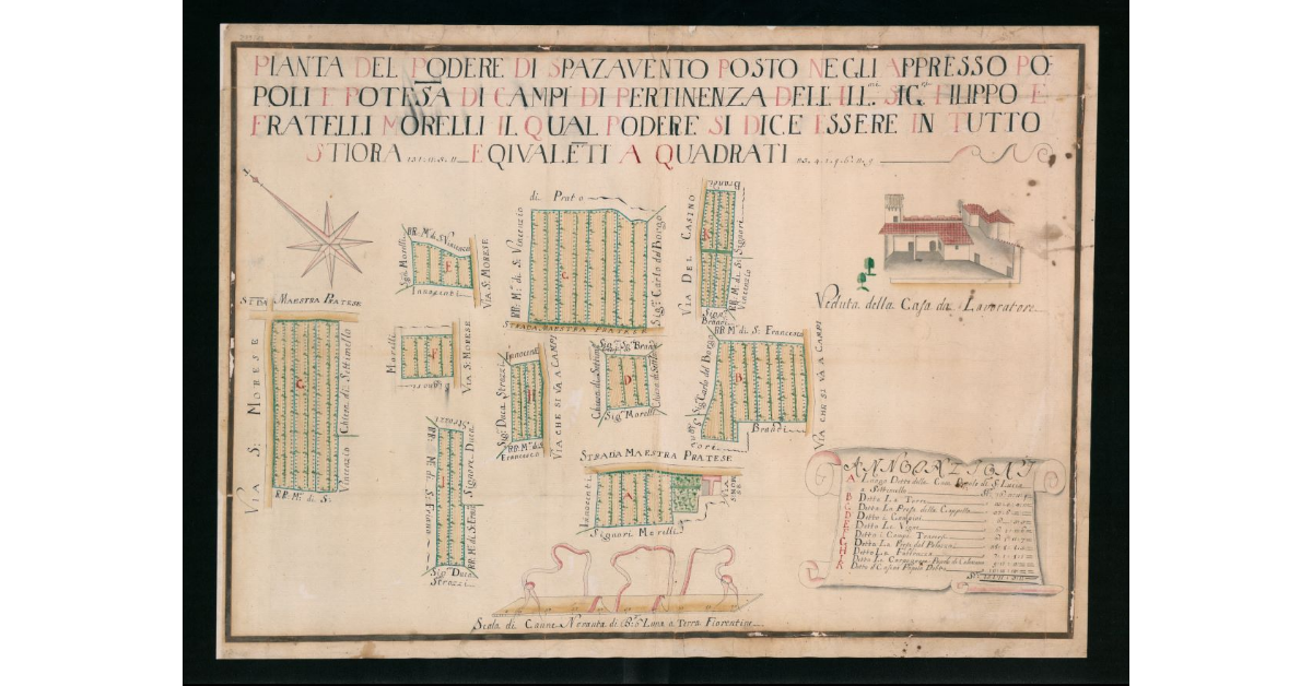 Pianta del Podere di Spazzavento posto negli appresso Popoli o Potesteria di Campi di pertinenza dell'Ill.mi Sig.ri Filippo e fratelli Morelli, il qual Podere si dice essere in tutto Stiora 151.11.3.11. equivalenti a Quadrati 23.4.1.9.6.2.9