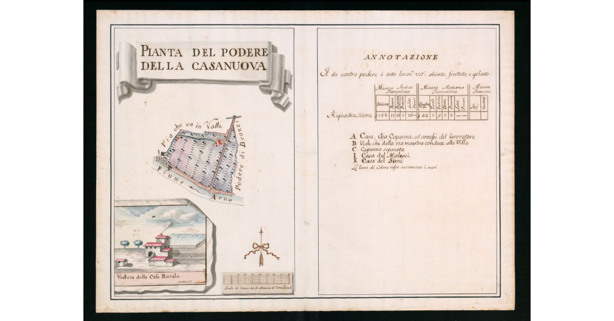 Pianta del Podere della Casa Nuova