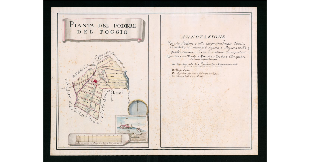 Pianta del Podere del Poggio