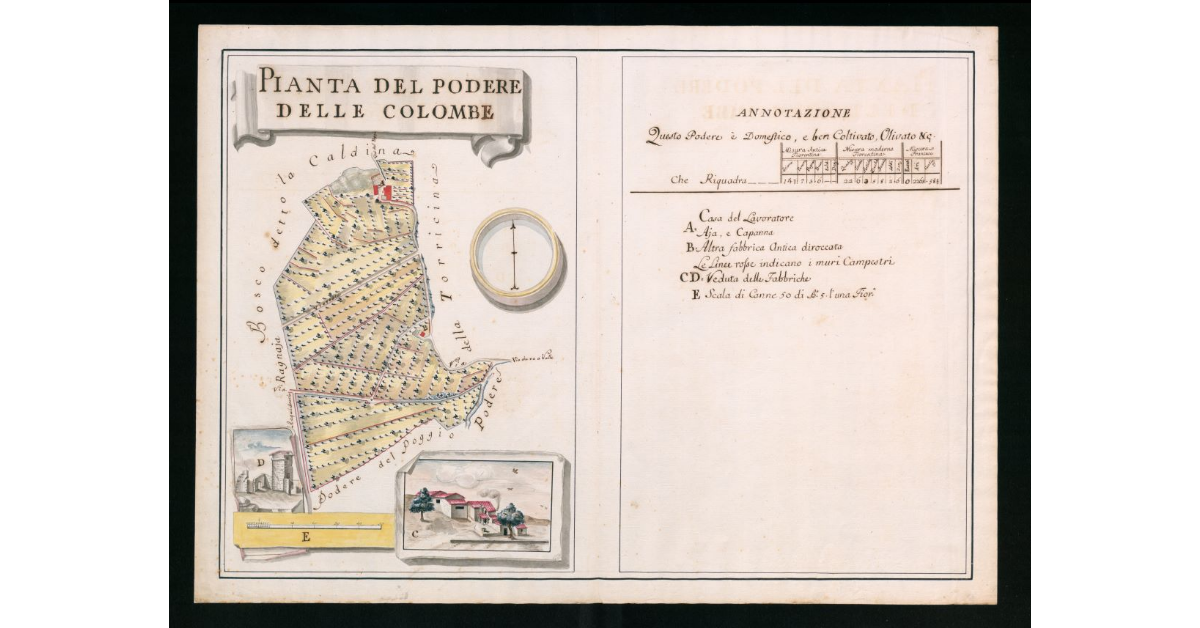 Pianta del Podere delle Colombe