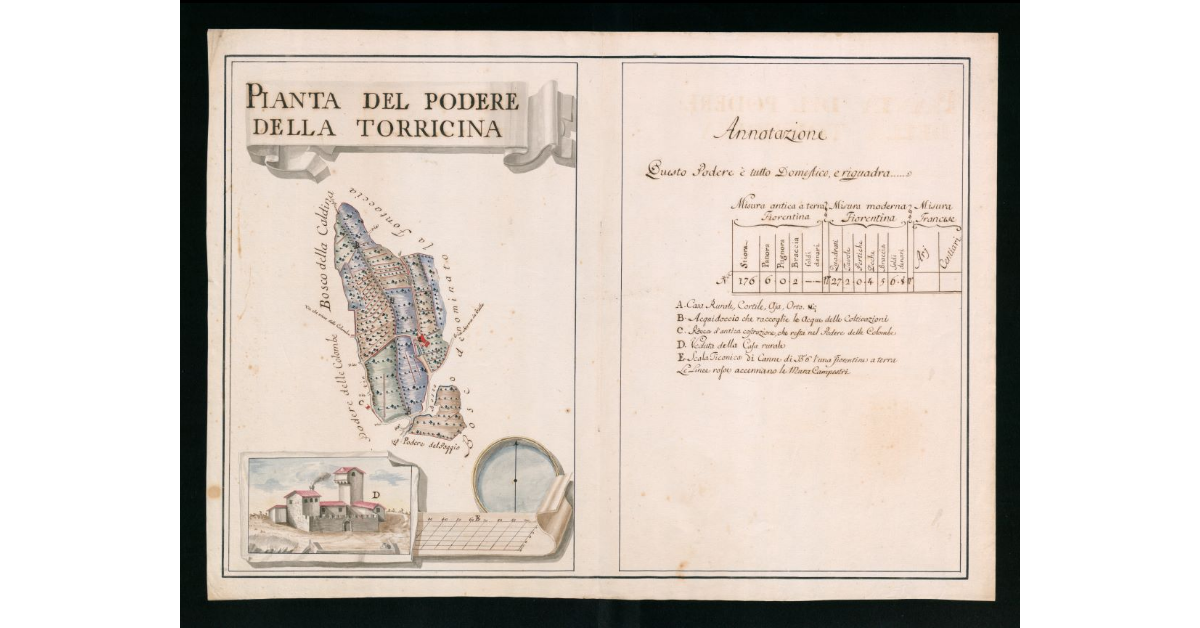 Pianta del Podere della Torricina