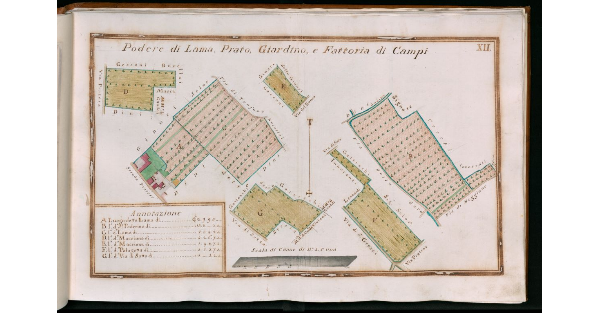 Tav.XII - Podere di Lama, Prato, Giardino e Fattoria di Campi