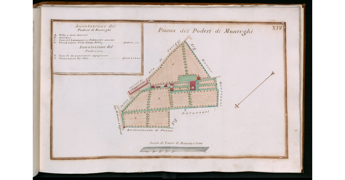 Tav.XIV - Pianta dei poderi di Montughi
