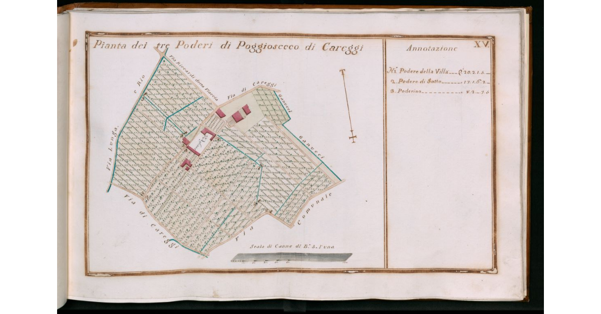 Tav.XV - Pianta dei poderi di Poggiosecco di Careggi