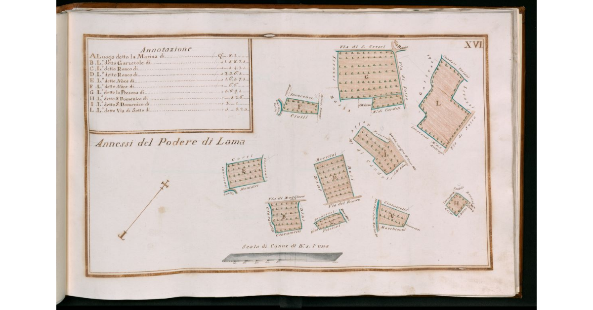 Tav.XVI - Annessi del podere di Lama