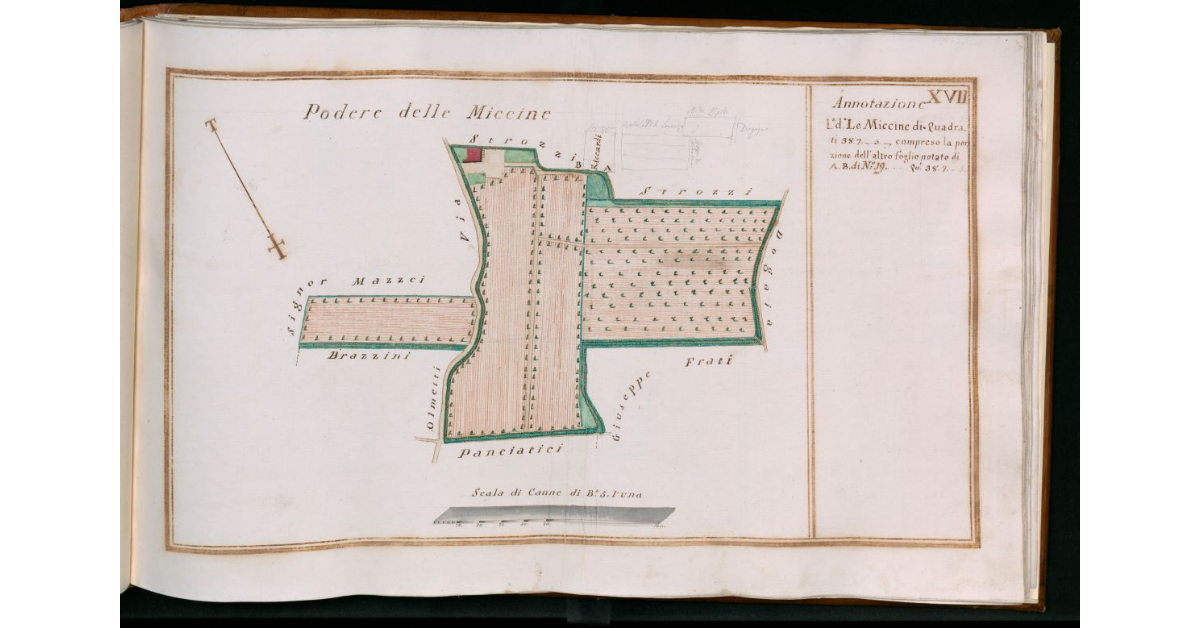 Tav.XVII - Podere delle Miccine