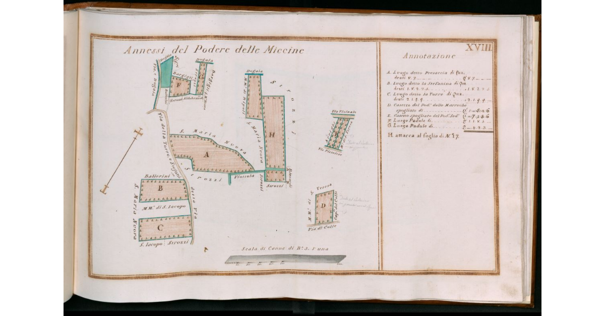 Tav.XVIII - Annessi del Podere delle Miccine
