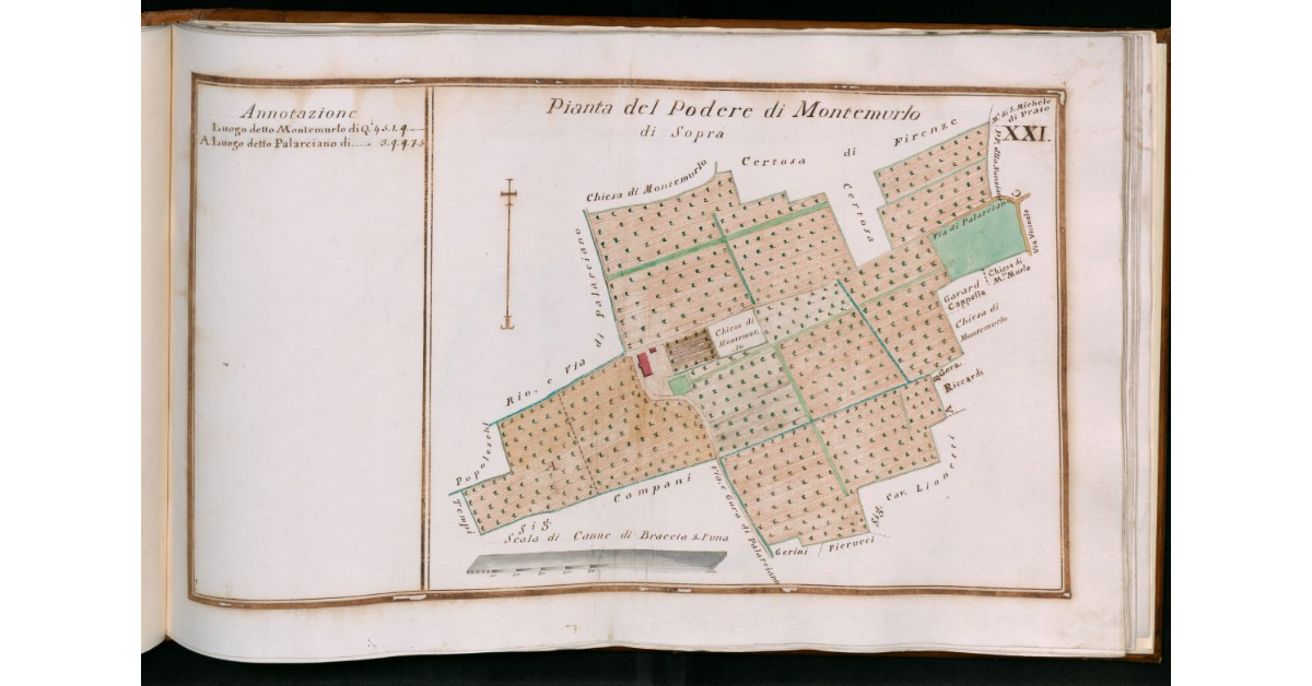 Tav.XXI - Pianta del Podere di Montemurlo di Sopra