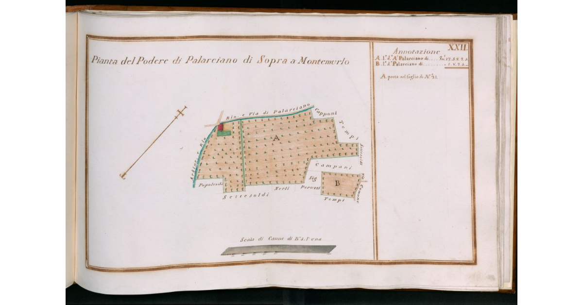 Tav.XXII - Pianta del Podere di Palarciano di Sopra a Montemurlo