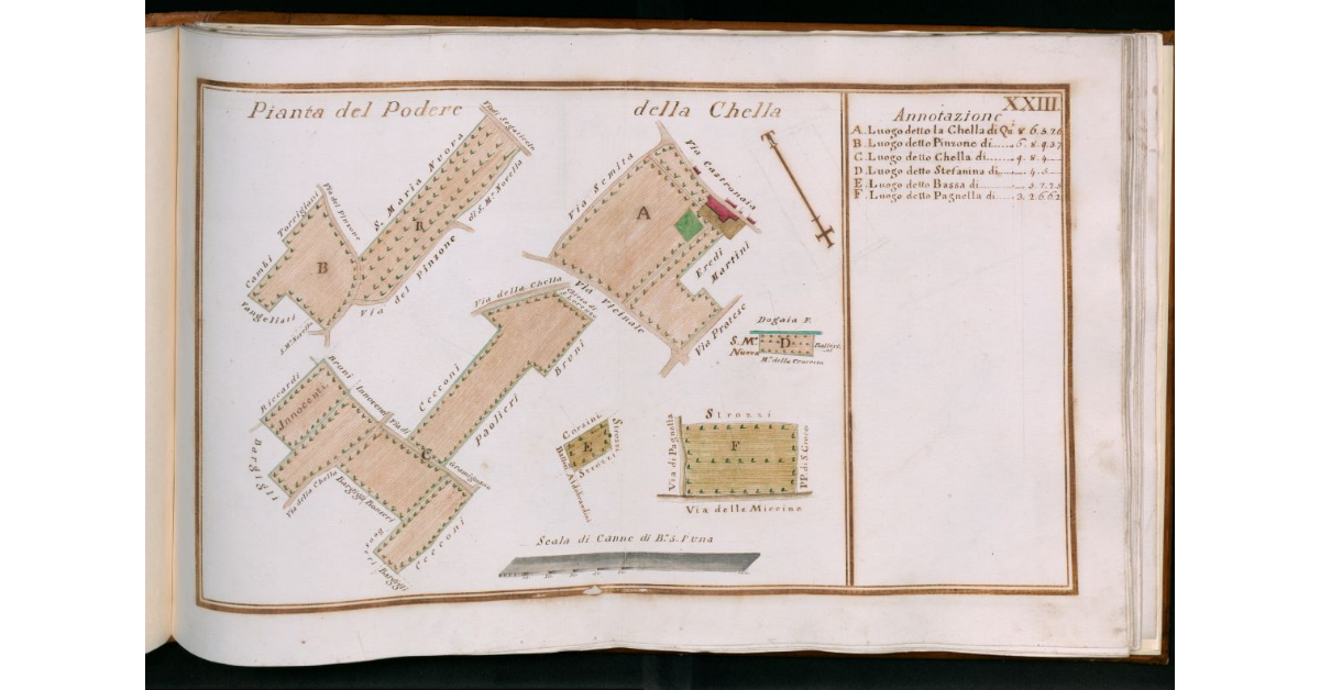Tav.XXIII - Pianta del Podere della Chella