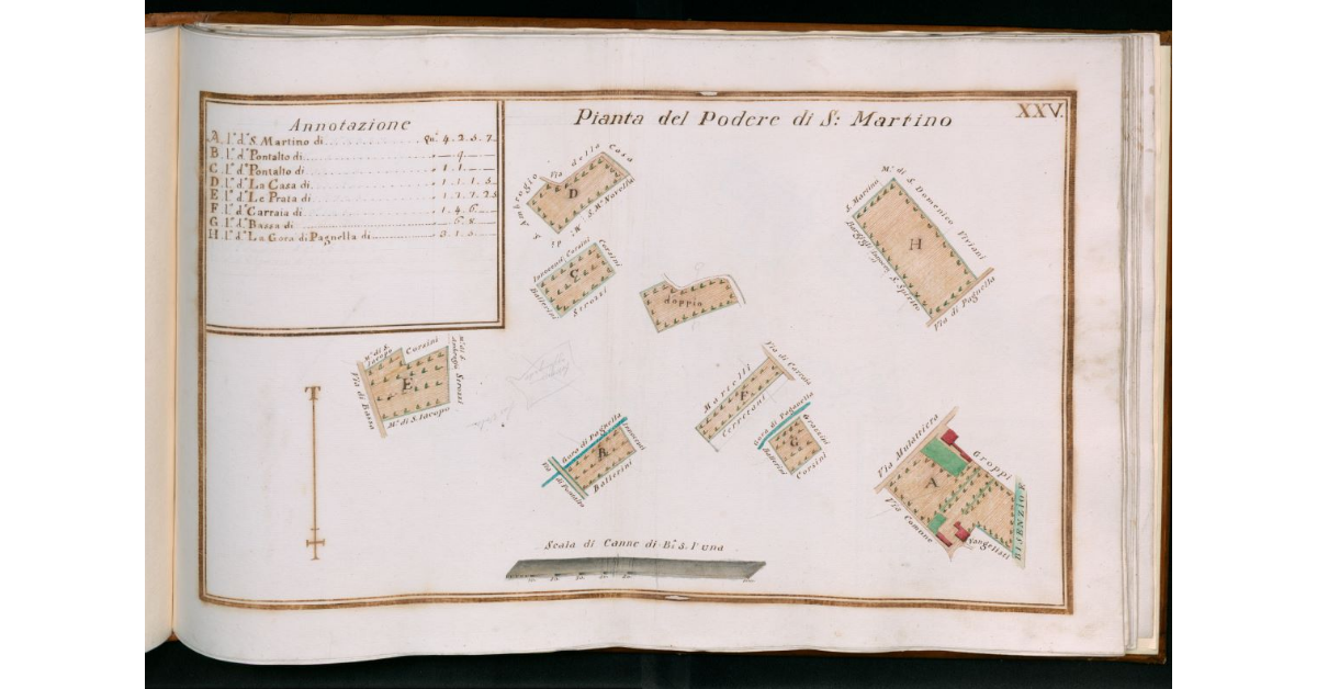 Tav.XXV - Pianta del Podere di S.Martino