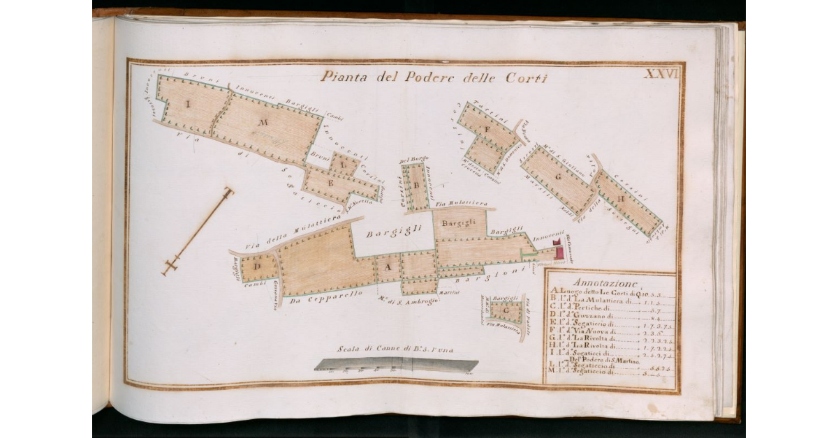 Tav.XXVI - Pianta del Podere delle Corti