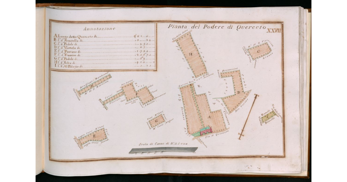 Tav.XXVII - Pianta del Podere di Querceto