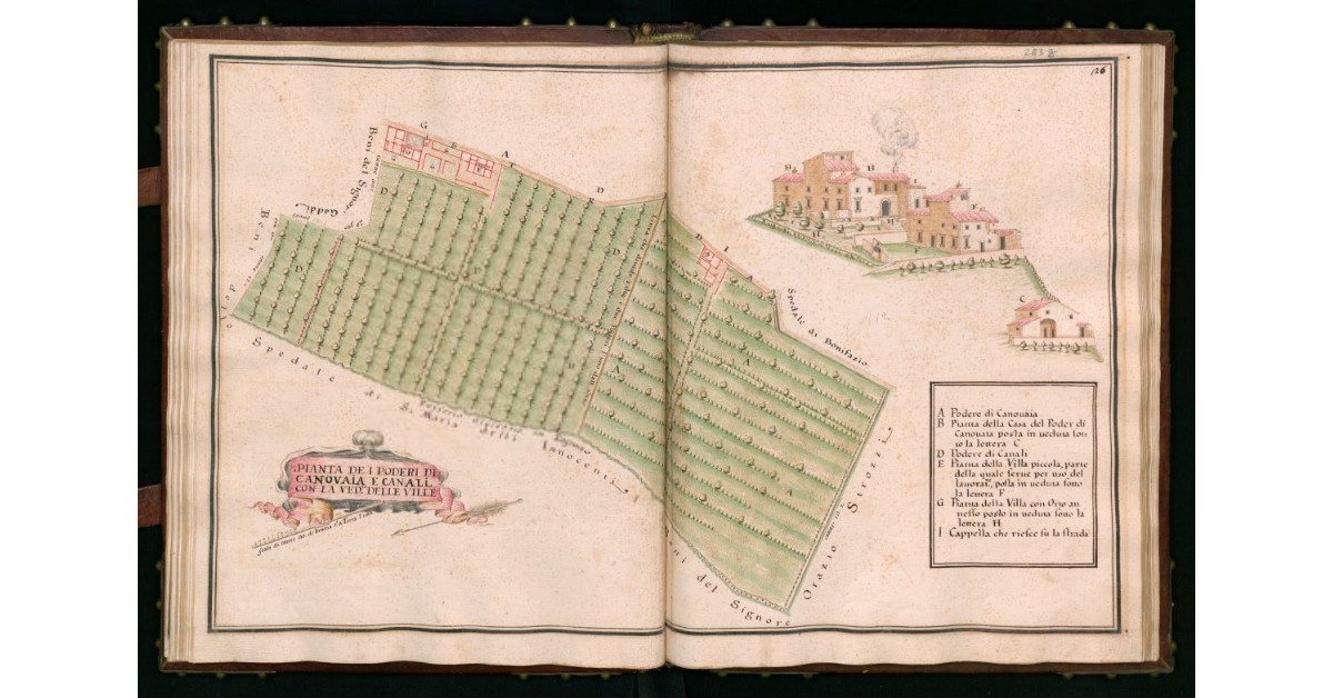 Pianta dei Poderi di Canovaia e Canali con la veduta delle ville