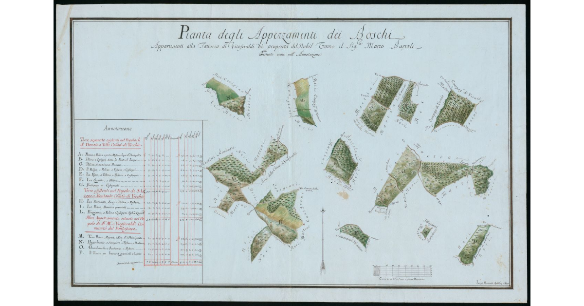 Pianta degli appezzamenti dei boschi appartenenti alla Fattoria di Vicoferaldi di proprietà del Nobil Omo il Sig.re Marco Bartoli esistenti come nell'annotazione