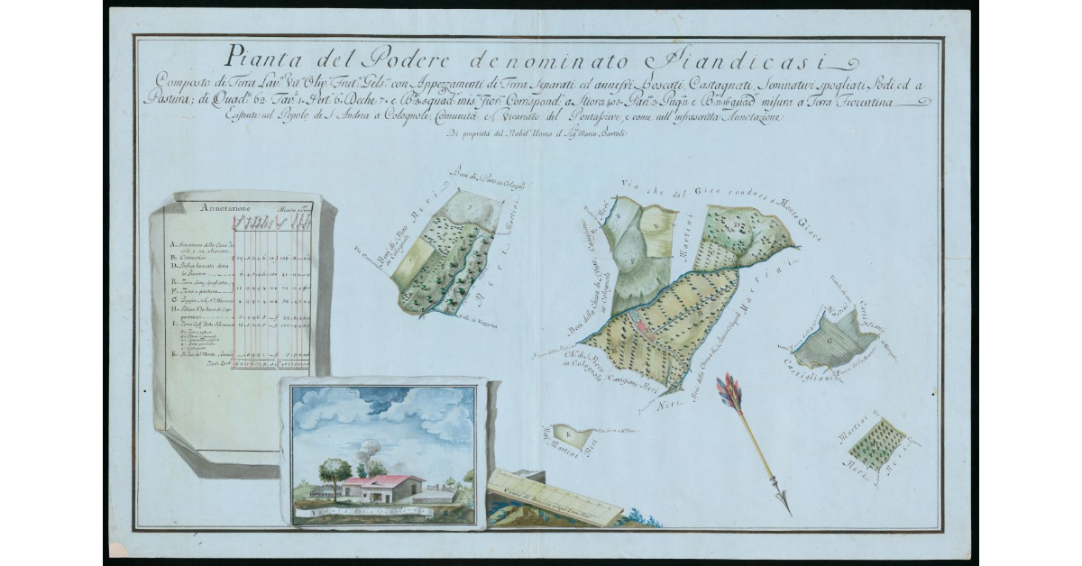 Pianta del Podere denominato Piandicasi composto di terra lavorativa vitata ulivata fruttata gelsata con appezzamenti di terra separati ed annessi boscati castagnati seminativi spogliati sodi ed a pastura [. .] esistente nel Popolo di S. Andrea a Colognol_x0018_e Comunità e Vicariato di Pontassieve di proprietà del Nobil Omo il Sig. Marco Bartoli