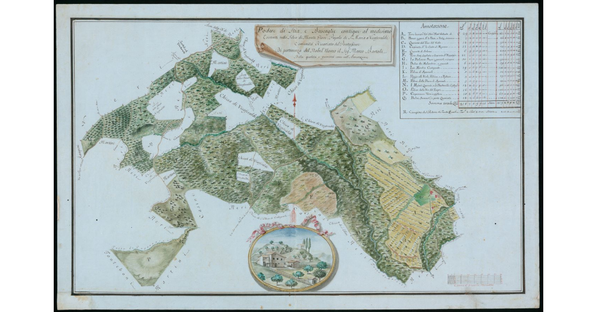 Podere di Stia, e Boscaglie contigue al medesimo esistenti nella Selva di Monte Giove; Popolo di S. Maria a Vicoferaldi Comunità e Vicariato del Pontassieve di pertinenza del Nobil'Uomo il Sig. Marco Bartoli