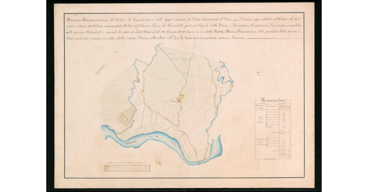 Pianta geometrica del Podere di Casalino e dell' Appezzamento di terra denominato il Pian di Torre oggi addetto al Podere di tal nome, e diviso dal prima rammentato Podere dal Borra o Fosso dei Fosciatelli, posti nel Popolo della Pieve di Mazzola Comunità_x0018_ di Volterra compilata sulle misure castali, e secondo lo stato di detti beni al dì 20 Giugno 1842, epoca in cui dalla Rev.ma Mensa Vescovile della precitata Città furono i beni medesimi insieme con gli altri della stessa Mensa allivellati all'I.eR. Amministrazione delle Saline