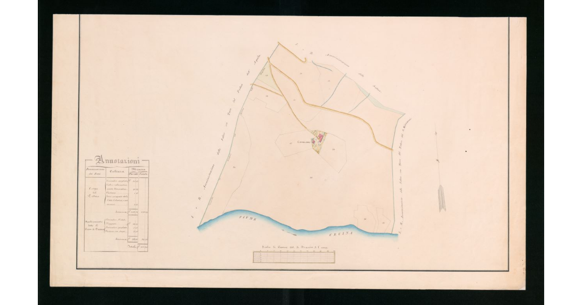 [Pianta geometrica del podere di Cavallaro]