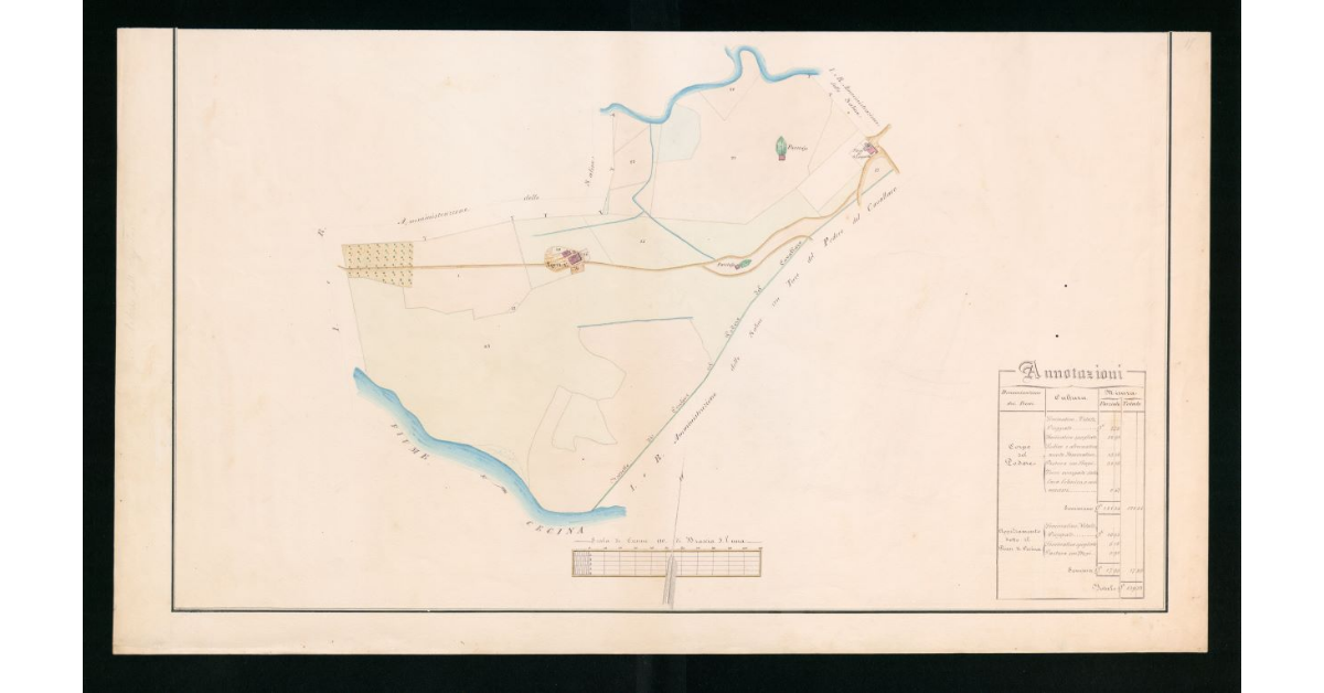 [Pianta geometrica del podere dell'Aquila]
