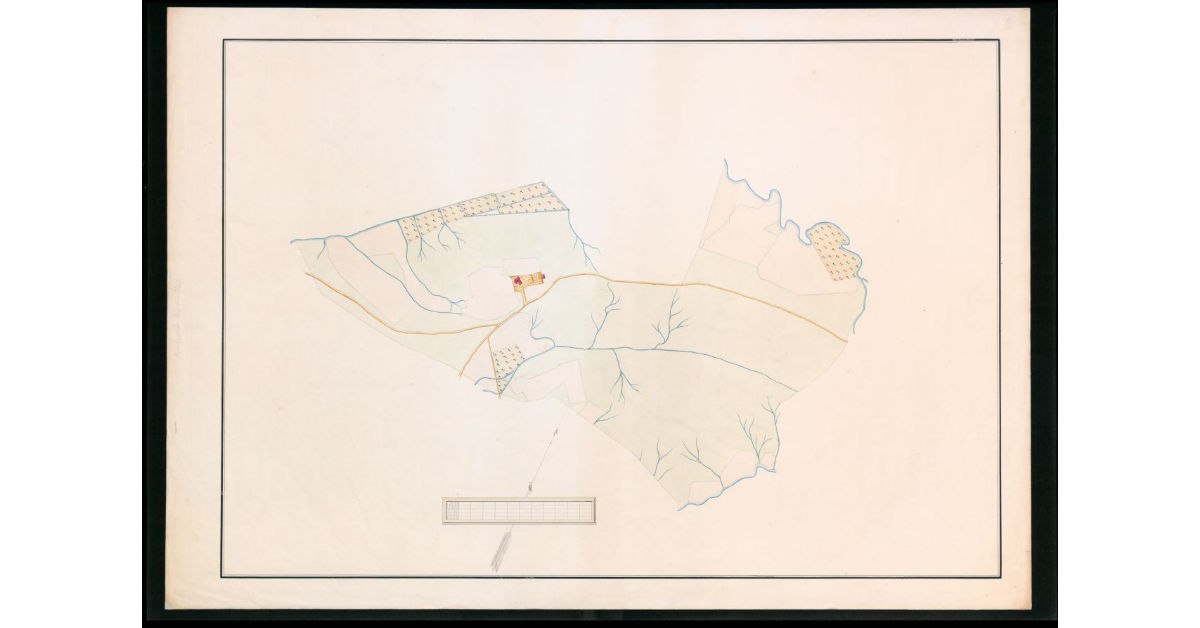 [Pianta geometrica del podere di Barbialla]
