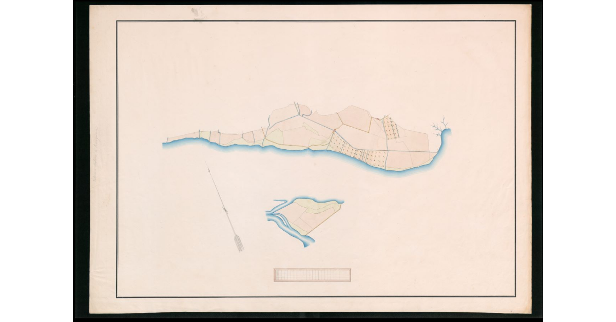 [Pianta geometrica del podere Mulino di Berignone]
