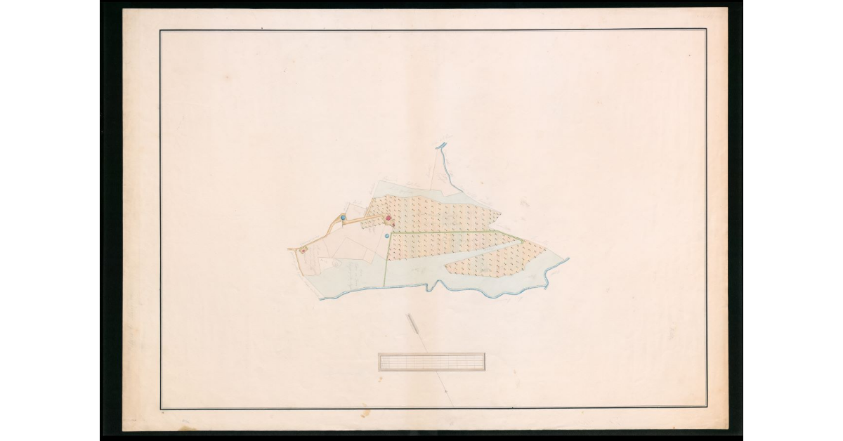 [Pianta geometrica del podere di Maciardo]