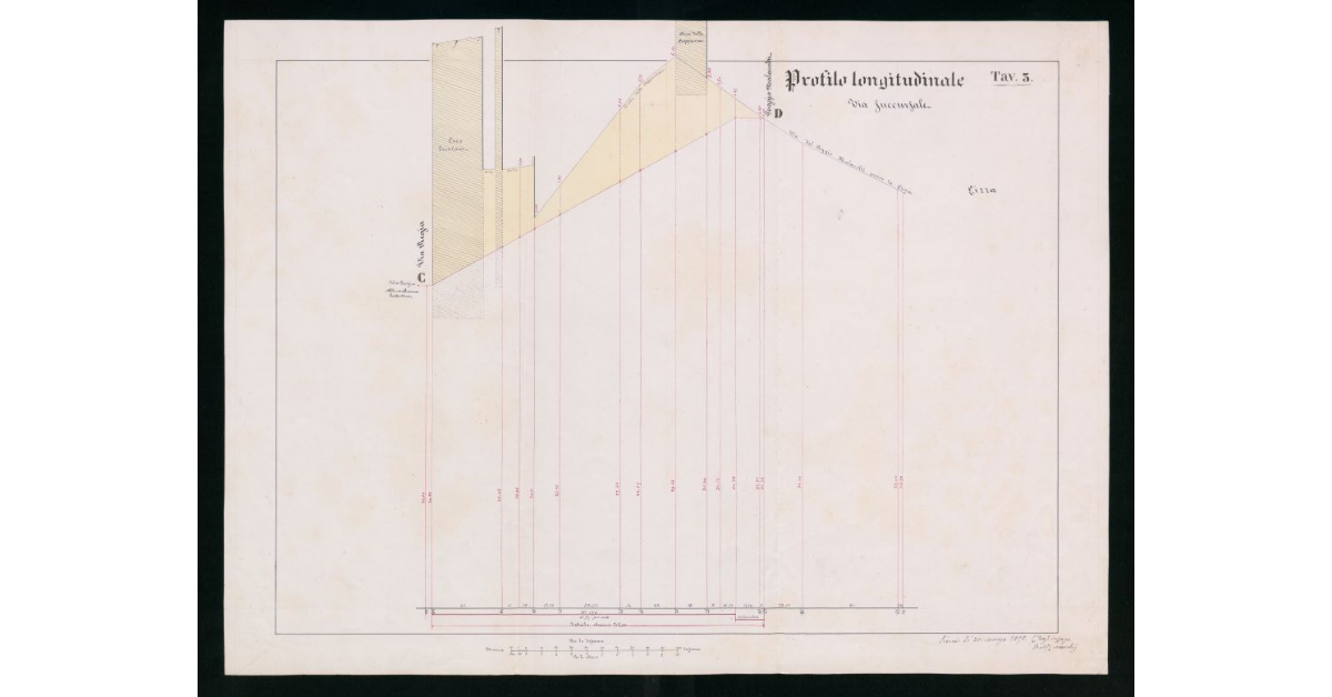 Tav.3 - Profilo longitudinale. Via Succursale