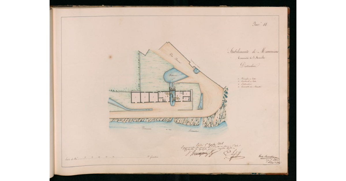 Tav.11 - Stabilimento di Mammiano. Comunità di S.Marcello. Distendini
