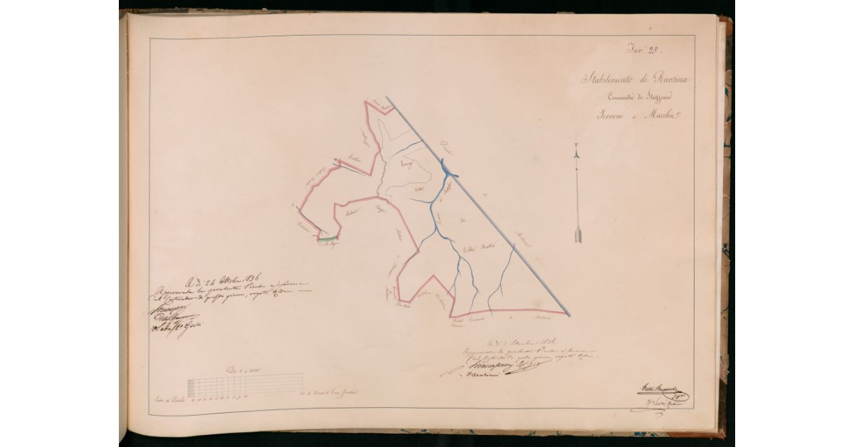Tav.25 - Stabilimento di Ruosina. Commità di Stazzema. Terreni e macchie
