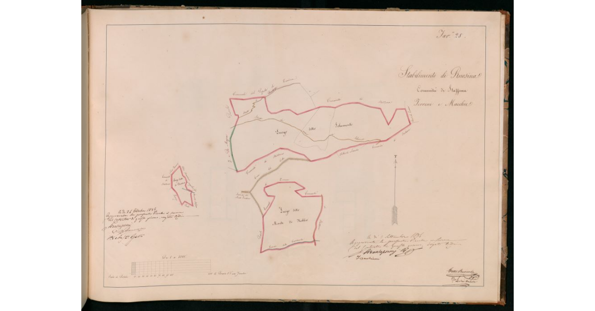 Tav.28 - Stabilimento di Ruosina. Comunità di Stazzema. Terreni e macchie