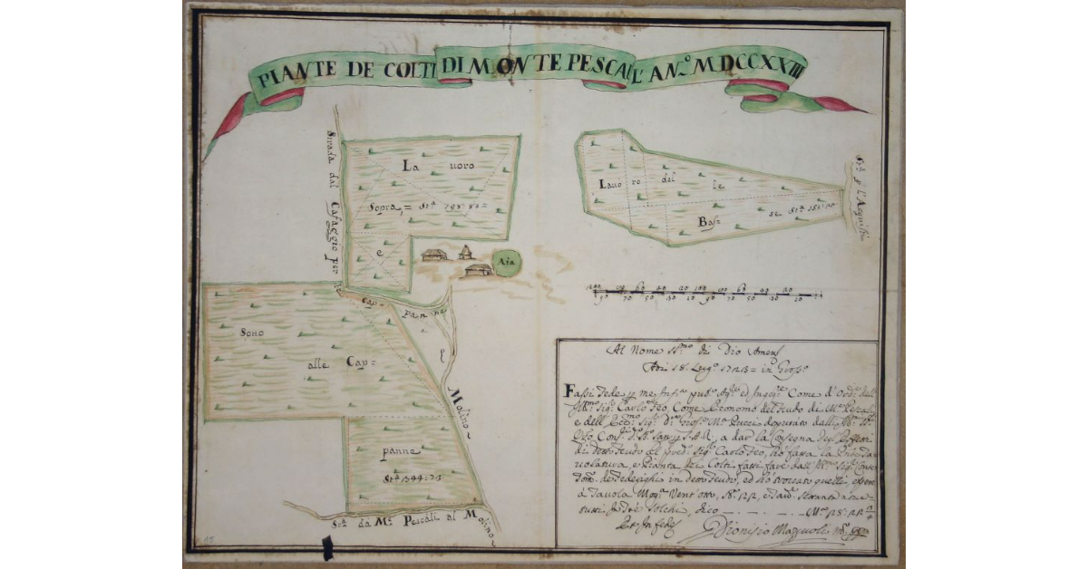 Pianta dei coltivi di Monte Pescali