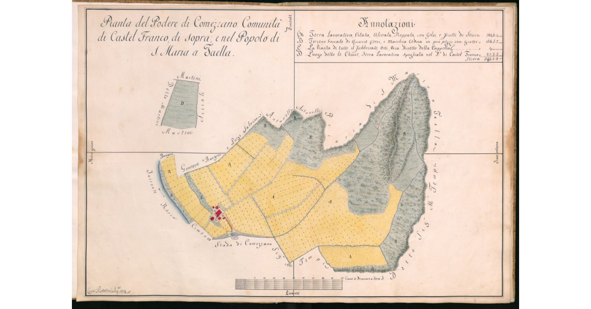Pianta del Podere di Comezzano Comunità di Castel Franco di Sopra, e nel Popolo di S.Maria a Faella