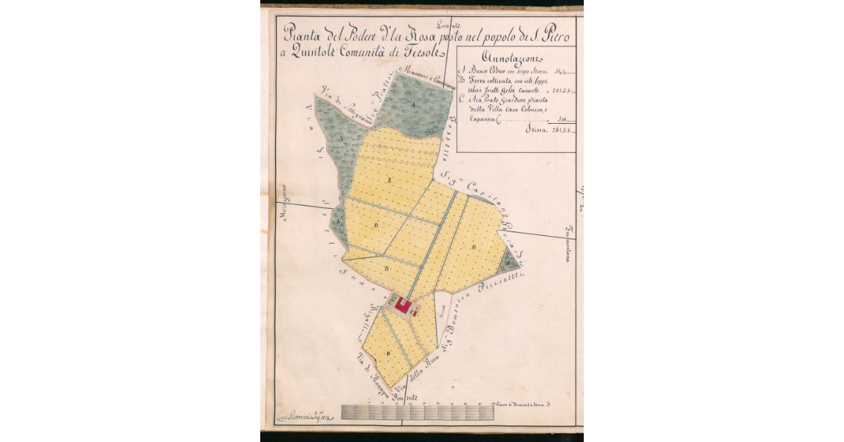Pianta del Podere d.o La Rosa posto nel Popolo di S.Piero a Quintole Comunità di Fiesole