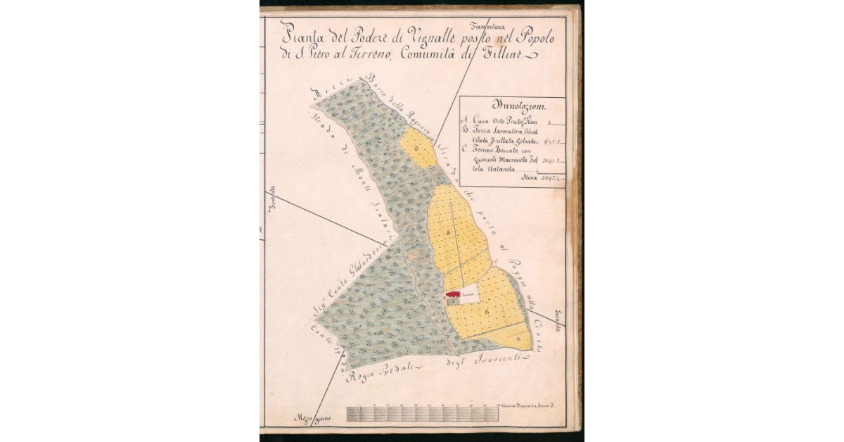 Pianta del Podere di Vignalle posto nel Popolo di S.Piero al Terreno, Comunità di Filline