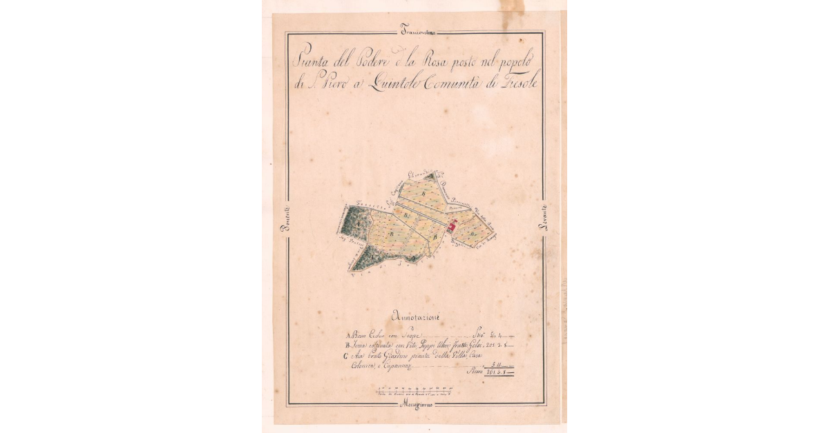 Pianta del Podere d. La Rosa posto nel popolo di S. Piero a Quintole Comunità di Fiesole