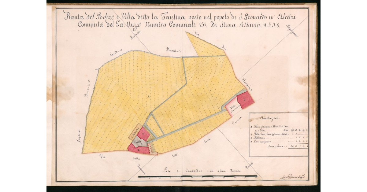Pianta del Podere e Villa detto la Fantina, posto nel Popolo di S.Leonardo in Alcetri Comunità del Galluzzo Numero Comunale 131 di Stiora Sessanta 11.5.3.8