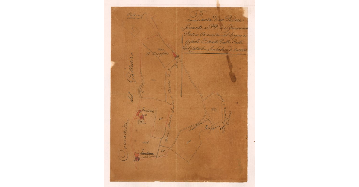 Pianta di un Podere spettante a PP. di S.Giovannino posto per la Comunità del Bagno a Ripoli. Estratto dalle Carte del Catasto