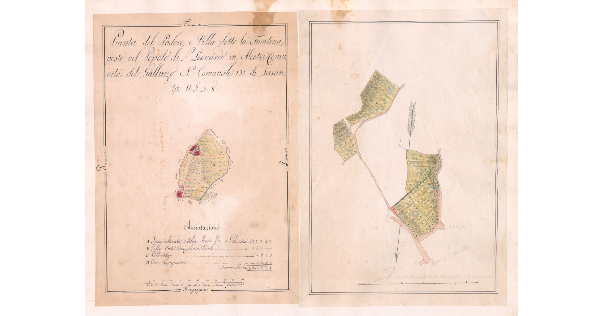 Pianta del Podere e Villa detto la Fantina, posta nel Popolo di S.Leonardo in Alcetri Comunitdàdel Galluzzo N.Comunale 131 di Sessanta 11.5.3.8