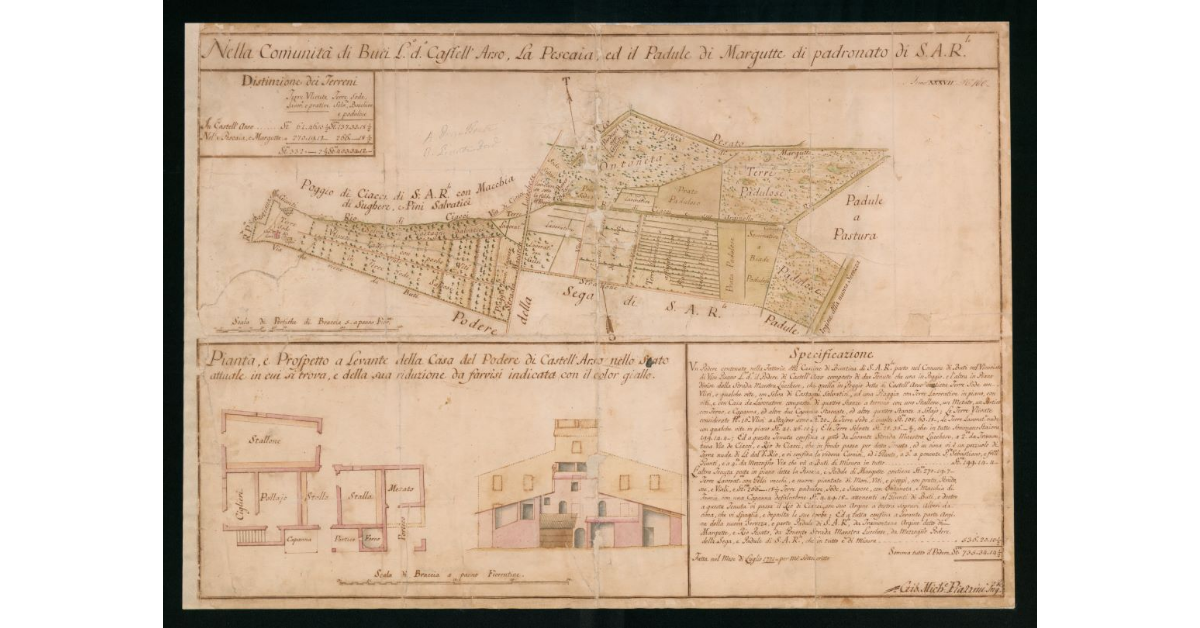 Padule di Margutte di padronato di S.A.R. [posto] nella Commità di Buti l.d. Castell'Arso [e] Pianta e Prospoto a levante della Casa del Podere di Castell'Arso nello stato attuale in cui si trova e della sua riduzione da farvisi indicata con il color giallo