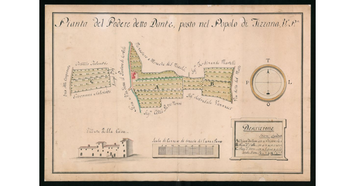 Pianta del Podere detto Dante, posto nel Popolo di Tizzana V(icariato) P(istoiese)