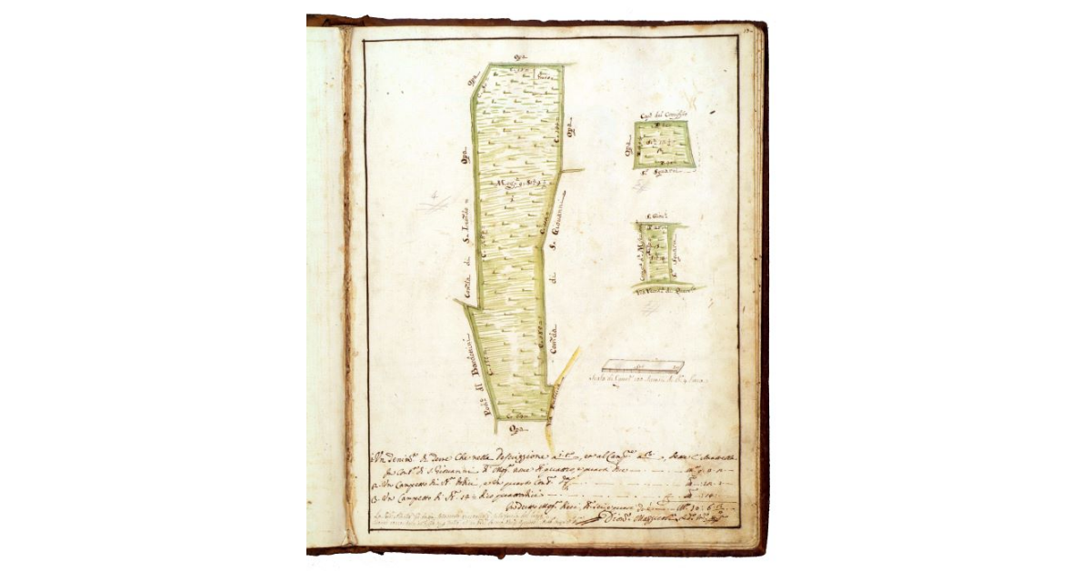 [Appezzamento di terra detto L'Anavella dei Frati di S. Francesco di Grosseto]