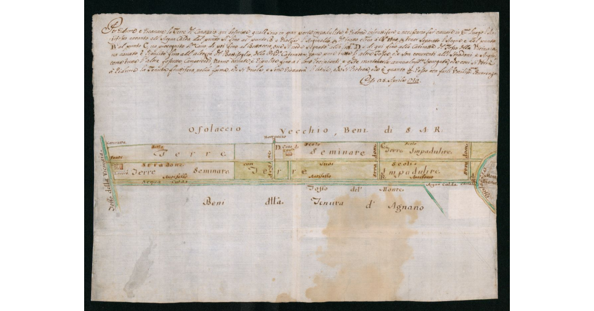 [Mappa di una sezione di terre compresa nella pianura pisana confinante con la Tenuta d'Agnano]