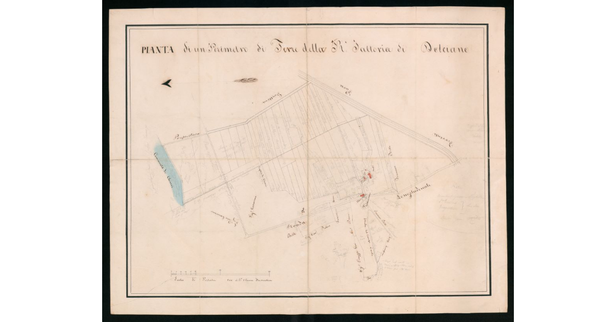 Pianta di un perimetro di terre della R.Fattoria di Dolciano