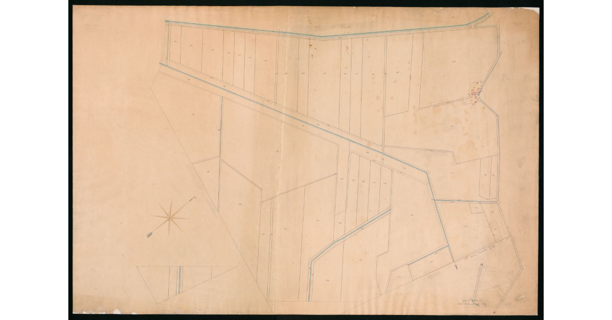 Foglio III. Sezione K [relativo ad un settore della Valdichiana organizzato in una unità poderale]